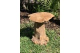déco Jardin Champignon teck 40 cm