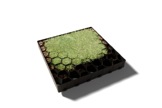 Dalle gazon pour allées