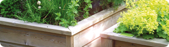 Les Jardinières et carrés potagers