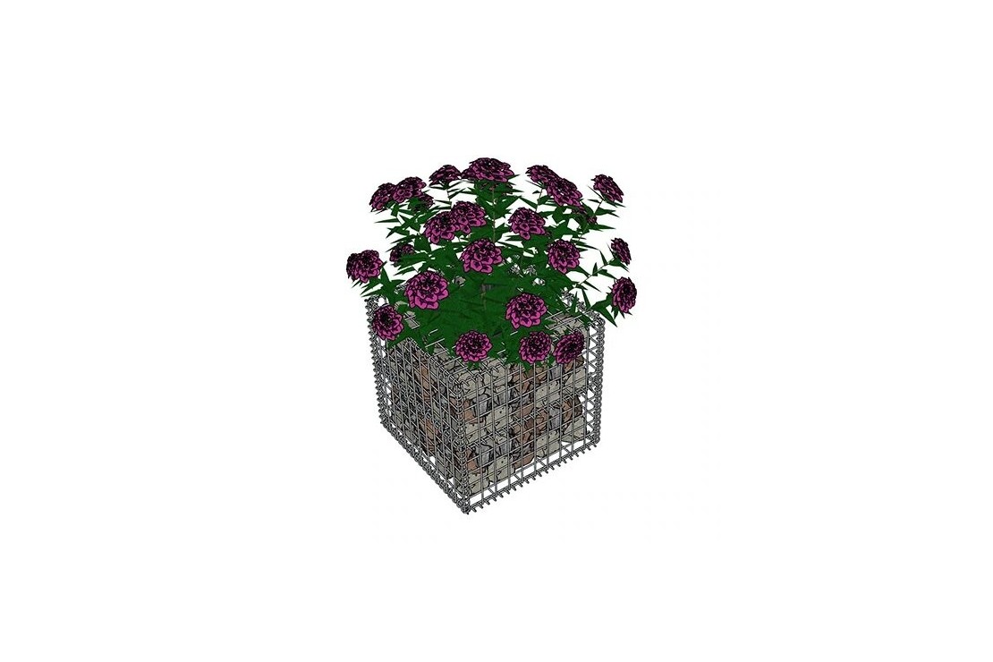 Gabion Jardinière L 50 x l 50 x H 50 fleurs