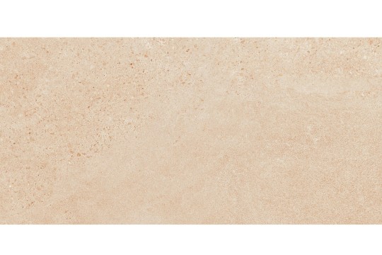 Dalle Grés Cérame 59,5 x 119,5 cm Beige