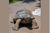 Statue Tortue Jardin en béton coulé coloris demi rouille