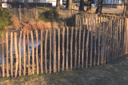 Clôture ganivelle noisetier 5 ml