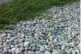 Galet de Mer 40/60 mm en bordure de végétation