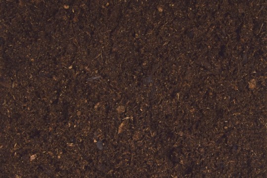 Terre de Bruyère forestière