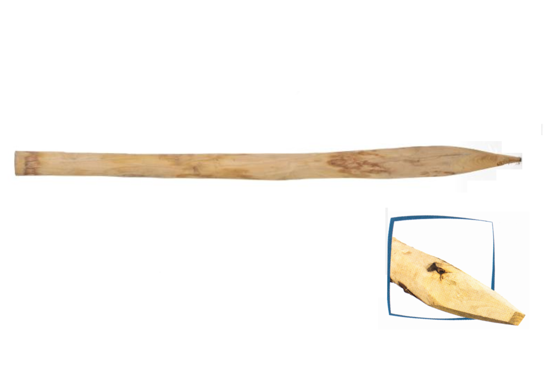 Piquet Châtaignier H.160 et 200 cm