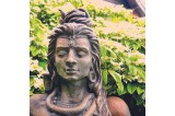 Zoom sur le visage de shiva