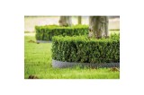 Bordure Ecolat Rouleau 25 M