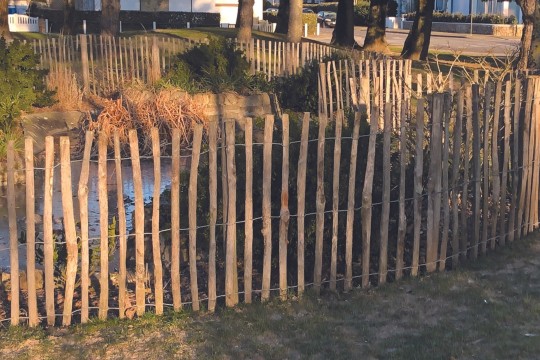 Clôture ganivelle noisetier 5 ml