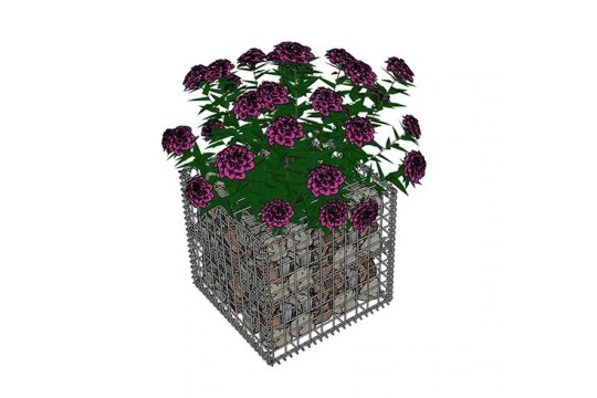 Gabion Jardinière L 50 x l 50 x H 50 fleurs