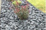 Paillage Ardoise Noire 30/60 en massif