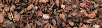 Les écorces de pin