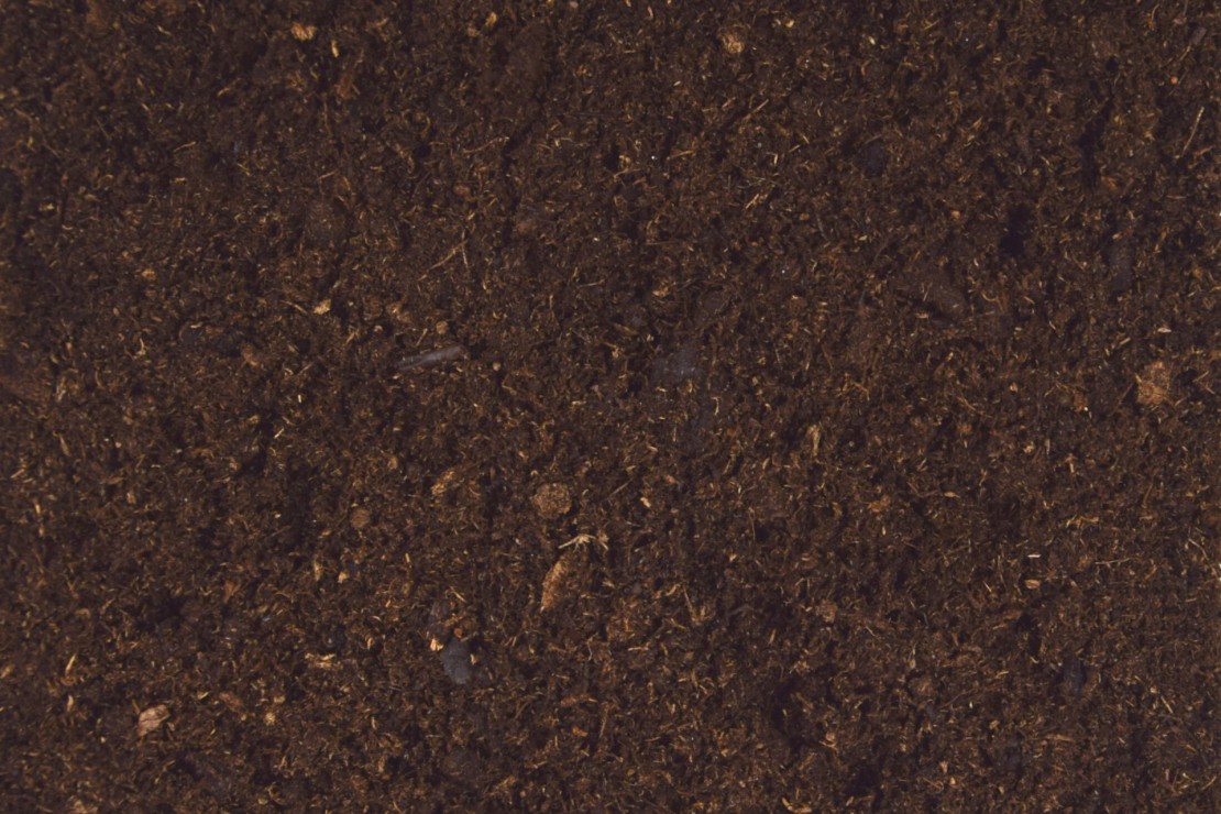 Terre de Bruyère forestière