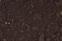 Fumier de Cheval composté