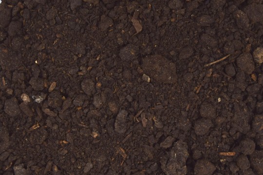 Fumier de Cheval composté