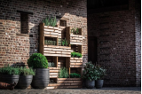 Potager vertical posé contre un mur existant