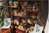 Mur vertical avec plantes fleuries