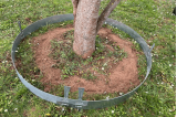 Bordure Tour d'arbre BorderStyle