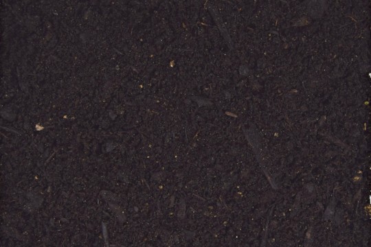 Terreau de Plantation