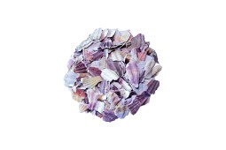 Coquille Saint-Jacques en pétales concassés