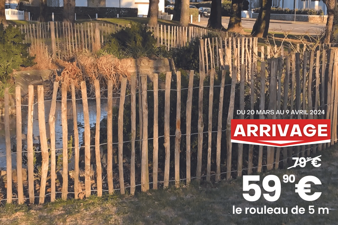 Clôture Ganivelle Noisetier 5 m