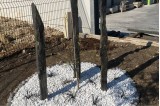 Bordure de Jardin Piquet Schiste Ardoisier