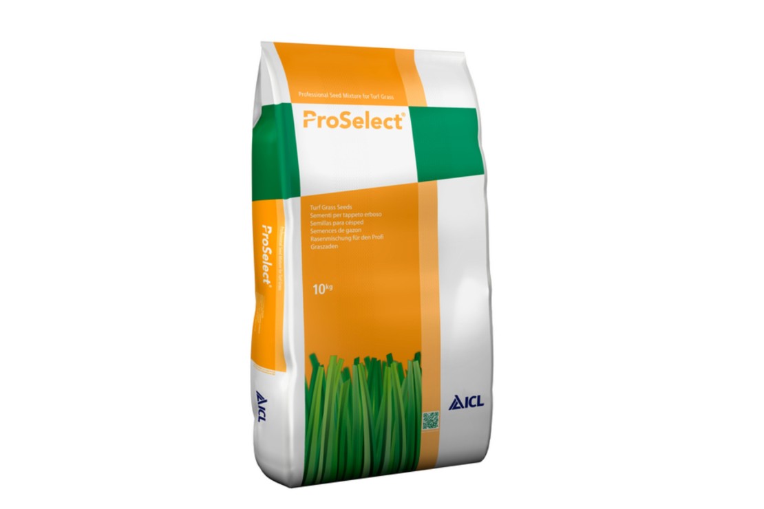 graine gazon LOISIRS pour pelouse de prestige