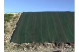 Toile de paillage sur grands espaces pour cultures hors sols