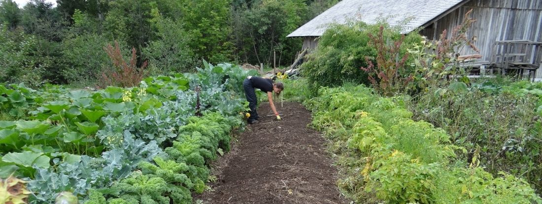femme dans potager
