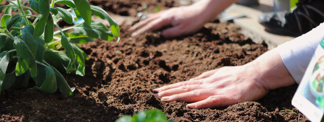 mains dans la terre